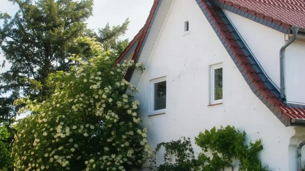 Mokanda oyo emonisi ndenge ozali annonceur na RDC okoki kozwa créateurs ya France na Pinterest mpo na kolakisa city guide ya locaux, conseils pratiques, mpe misala mingi.