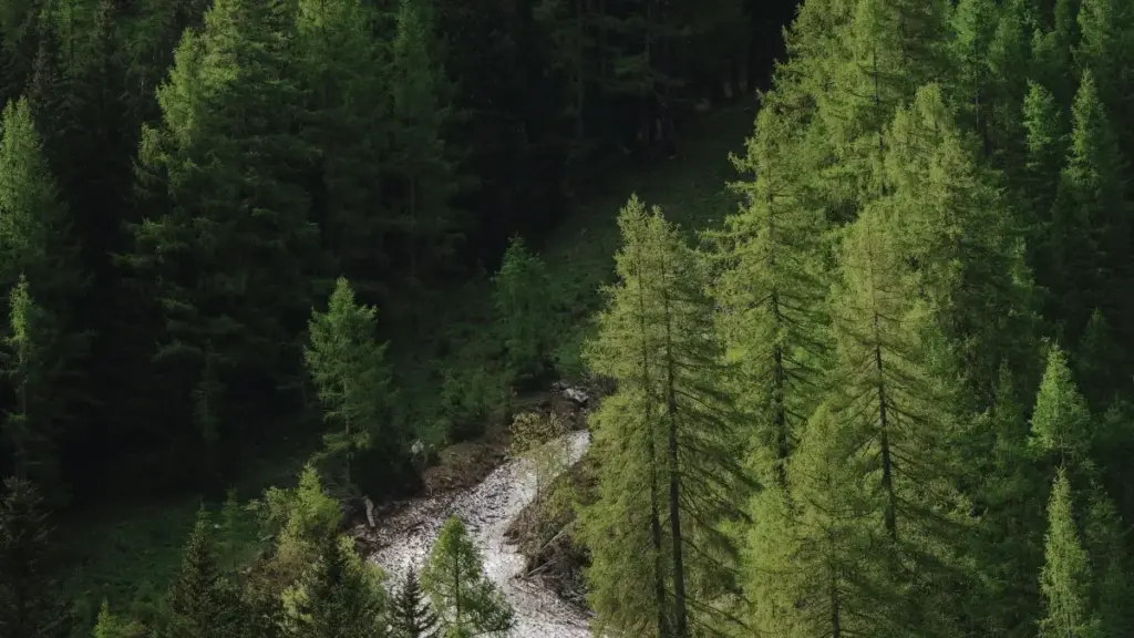 Mwana-mpesa oyo ezali guide ya praktikal mpo na kozwa pe kosolola na Etsy creators oyo bazali na Bulgaria mpo na kozongisa promos saisonal.