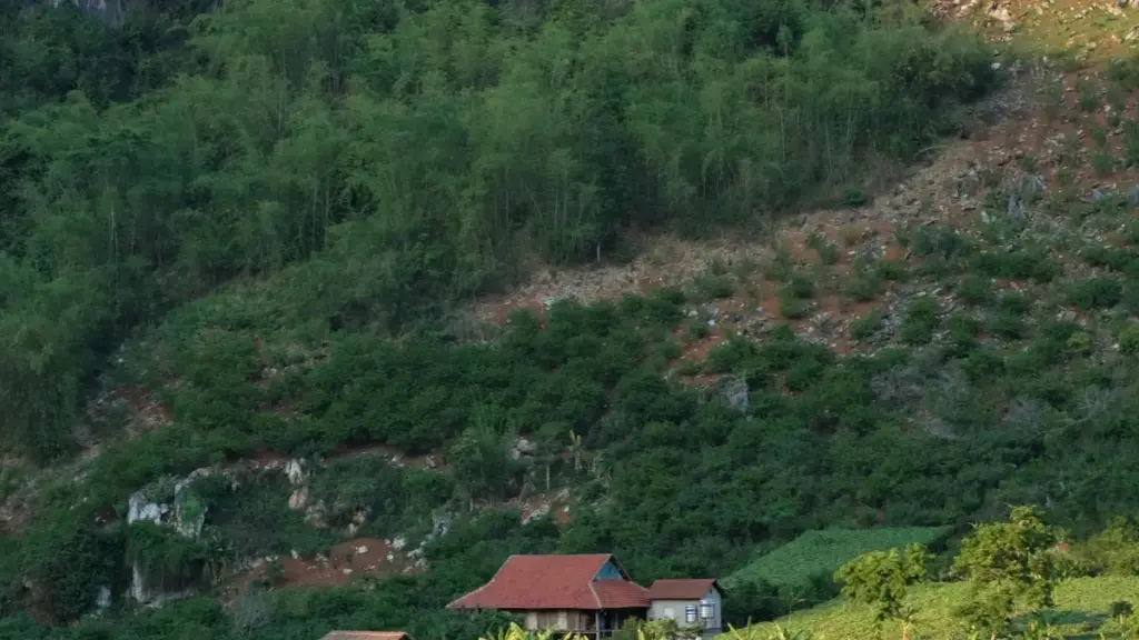 Makambo mpo na ndenge ya koluka créateurs ya KakaoTalk oyo bazali na Uruguay mpo na kosala promos ya chanson, masolo ya marché, mpe conseils opérationnels mpo na baAdvertisers na RDC.