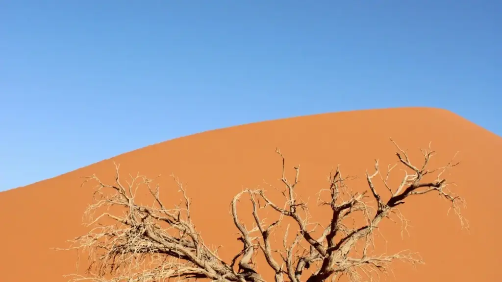 Pas-à-pas mpo na ba advertiser na RDC: ndenge ya kozwa créateurs Venezuela na Moj mpo na product seeding kozonga na beauty bloggers na marché local.