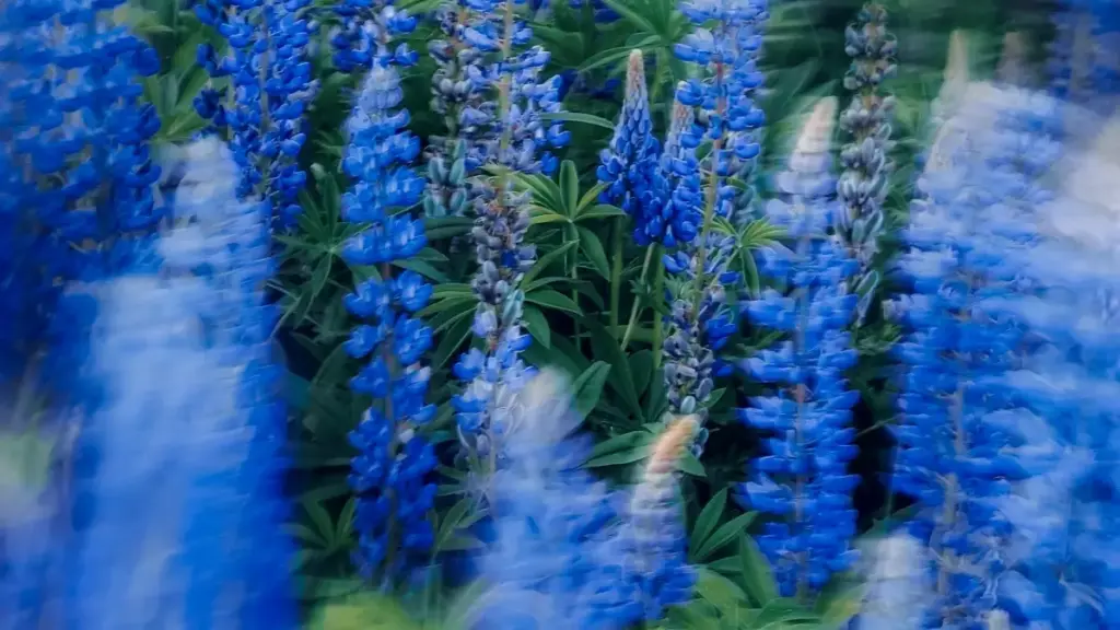 Maloba mingi mpo na ndenge ya kozwa Chingari creators na Royaume-Uni oyo bakoki kosalela ba-followers ete bakoleka na ba-acheteurs; stratégies, exemples ya retail UK, mpe conseils pratiques.