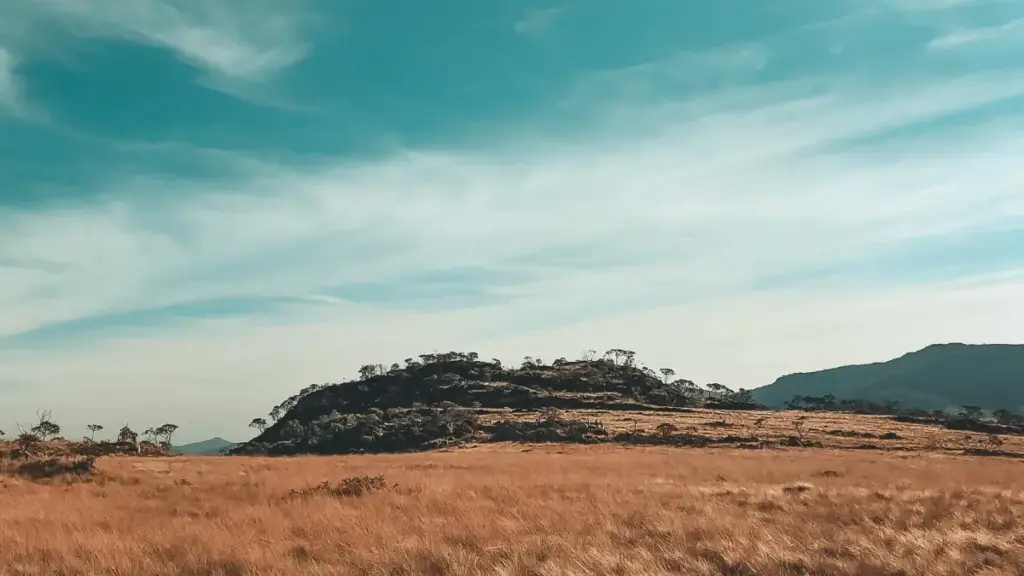 Sango ya ndenge nini okoki kozwa creators ya Puerto Rico na Spotify mpo na kosalela message ya brand na lingomba ya mabele. Makambo pratikal, strategie ya localisation, mpe misala oyo ebongi.