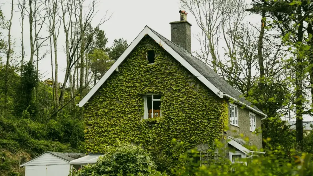 Sango ya ndenge nini osangisa na ba-brand ya Algérie na Discord mpo na kotinda flat-fee deals; makambo ya marché, tips praktike, mpe bonsomi ya kolakisa confiance.