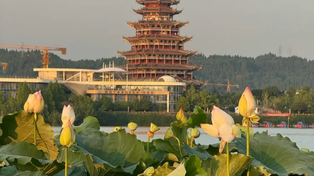 Maloba ya ndenge oyebi: ndenge ya kolendisela marques ya Autriche na eBay pona kosala tutoriels on-brand, na ndenge ya praktikal mpo na ba créateurs na RDC.