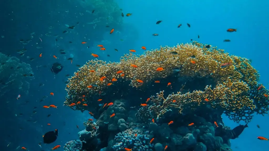 Mokanda oyo epesa ndenge ya kosala outreach na marques ya Chile na Bilibili, conseils pratiques, mitindo ya contenu, mpe mawa ya confidentialité.