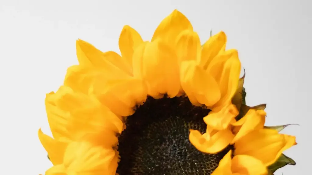 Makambo ya kokata ba créateurs Reddit ya Kambodzha mpo na essais produits micro-influenceurs, mitindo, risques, mpe plan pratique mpo na advertiseurs na République démocratique du Congo.