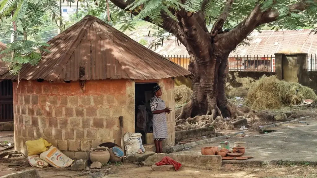 Maloba ya kokanga te mpo na ndenge okoki kozwa bazalaki ya Ukraine na Moj mpo na kotakisa visibilité ya brand ya clean beauty na RDC.