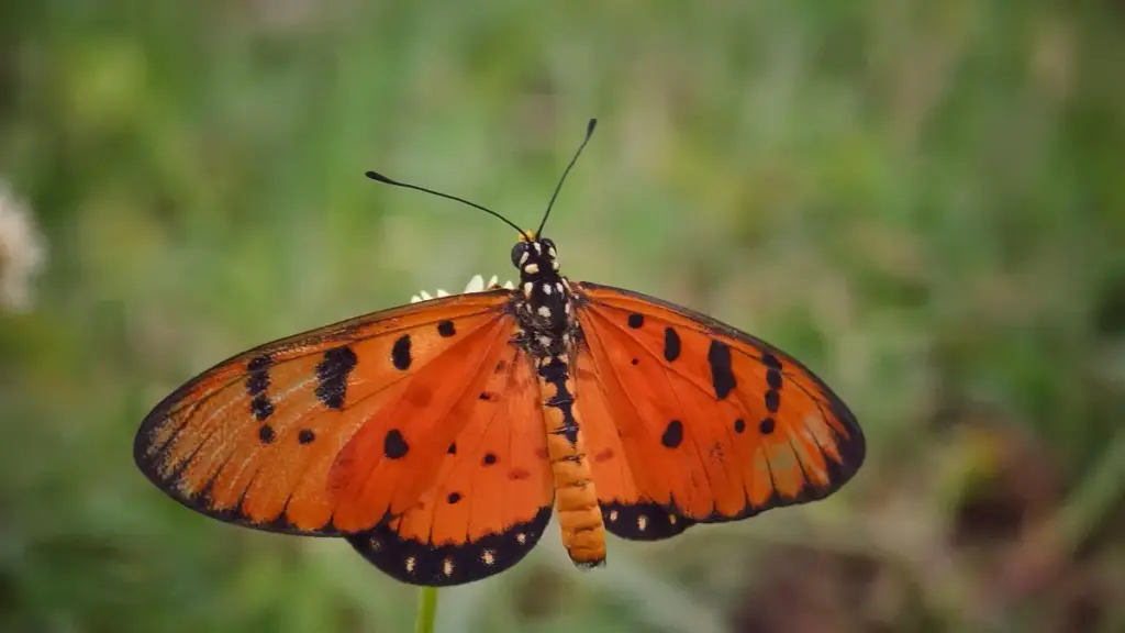 Maloba moke mpo na ba-advertisers na RDC: ndenge ya kosomba, koluka mpe kosolola na Etsy creators ya United Kingdom mpo kosala visibilité ya destinations ya voyage.