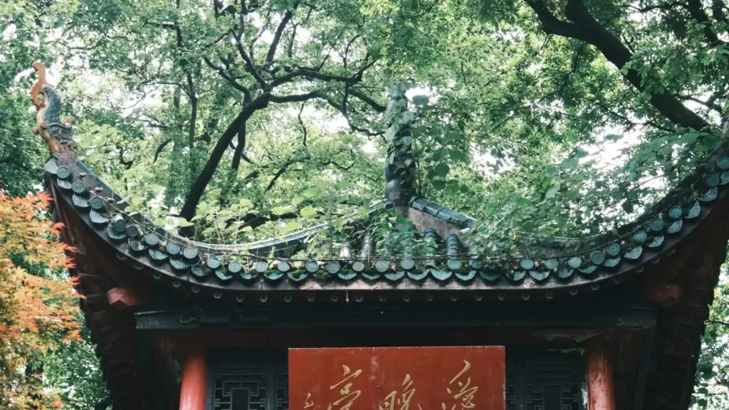 Lisolo ya kosalisa annonceurs na RDC kosolola na ba-Peru Rumble creators mpo na ba-ventes saisonnières: stratégie, risques, mpe lisanga ya ba-contact local.