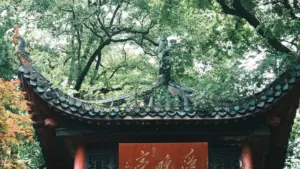 Lisolo ya kosalisa annonceurs na RDC kosolola na ba-Peru Rumble creators mpo na ba-ventes saisonnières: stratégie, risques, mpe lisanga ya ba-contact local.