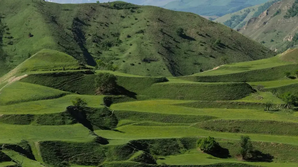 Mbongo malamu mpo na ba-advertiser na RDC: ndenge ya kosala product seeding na ba-Josh creators ya Malaysia, avec exemples lokola Jason Chen, tactiques, outils, mpe risks.