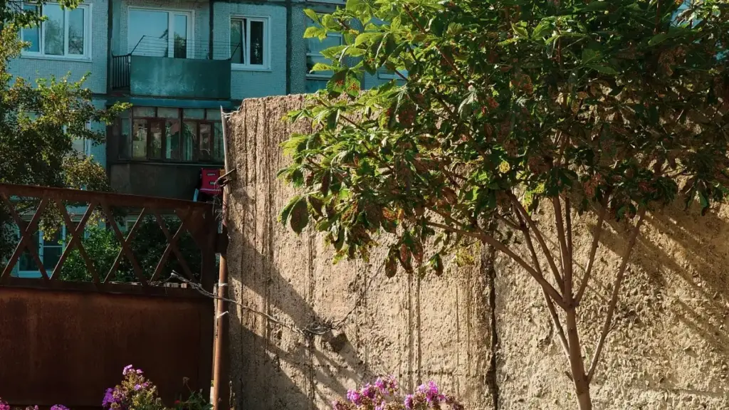 Mokanga ya ndenge na ndenge mpo na koluka, kosolola, mpe kofanda na Snapchat creators ya Suisse mpo na makeup tutorials; conseils pratiques, data, mpe MaTitie SHOW TIME.