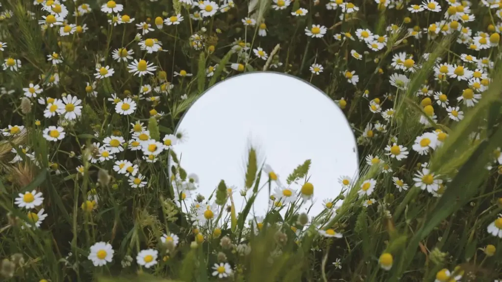 Mbongo moko te: ndenge ya kozwa Moj creators ya Netherlands mpo na affiliate marketing, conseils pratiques, outils, mpe risks.