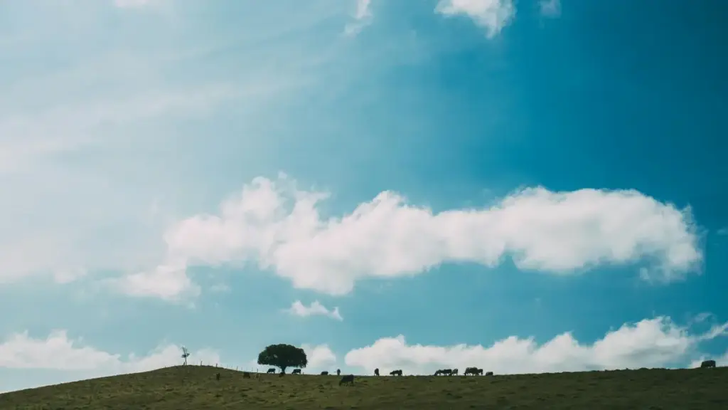 Lisolo ya mawa na yango: ndenge ozwa creators ya India na Pinterest oyo bakoki kosala hype mpo na flash sales; stratégies pratiques, kosala shortlist, KPIs, mpe mawa ya MaTitie.