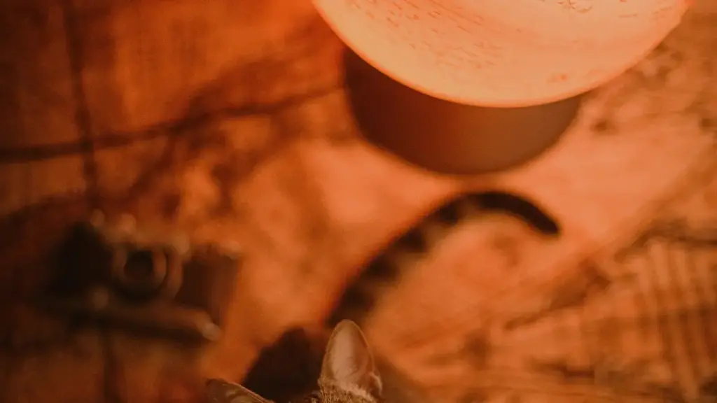 Buku ya kokende lisusu: mikanda kasi ndenge ya koluka marques ya Lithuania na KakaoTalk mpo kotonga travel planning guides, na tips pratiques mpo na créateurs na RDC.