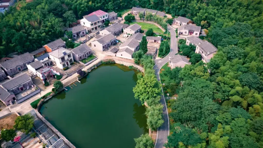 Liloba moko ya ndenge: ndenge ya kozwa brand ya Saudi na Roposo mpo na kolongola biloko ya affiliate, makambo culture, data, mpe tips opérationnel.