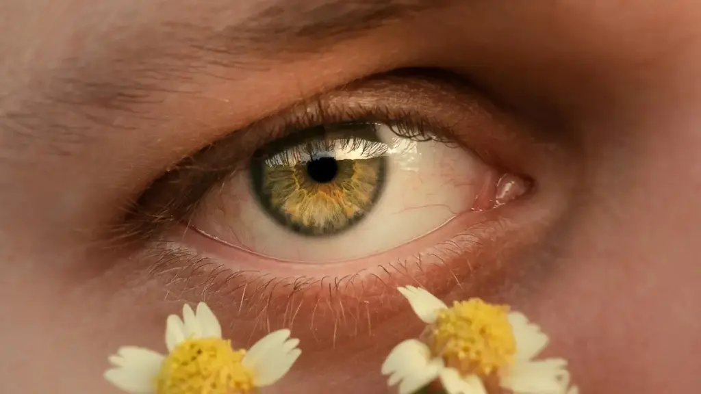 Makambo ya kosala mpo na kokota na marché ya fitness na Afrique du Sud na bosangani na créateurs WeChat, ndenge ya kosala cross-border, paiement, mpe risque.