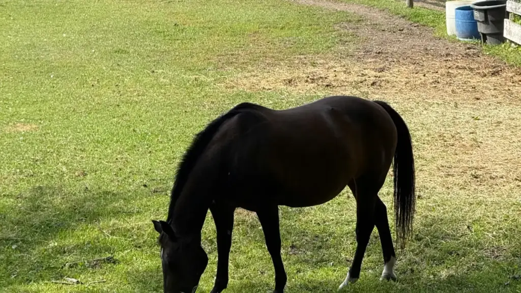 Mpo na creator na RDC, tala ndenge ya kokota na ba brand ya Bahrain na Threads, kotonga pitch ya fitness, mpe kobeta timing ya collaboration na ndenge ya mayele.