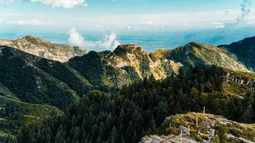 Mokano ya kokoma na ba brand ya Belgique na Twitch te mpo na koluka kolanda kaka te, kasi kotonga lokumu, confiance, mpe mikolo ya mikolo na top brands.