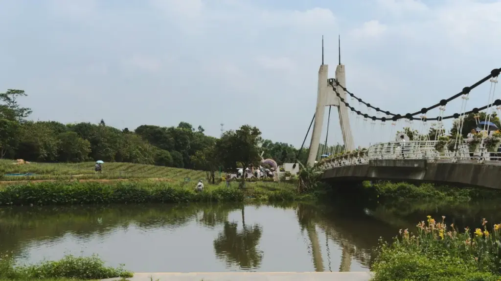 Mpo na marques oyo balingi lancer tutorial series na créateurs ya South Africa, tala ndenge ya koluka ba profils ya solo, koyeba ba signaux ya bon engagement, mpe kokima faux buzz.