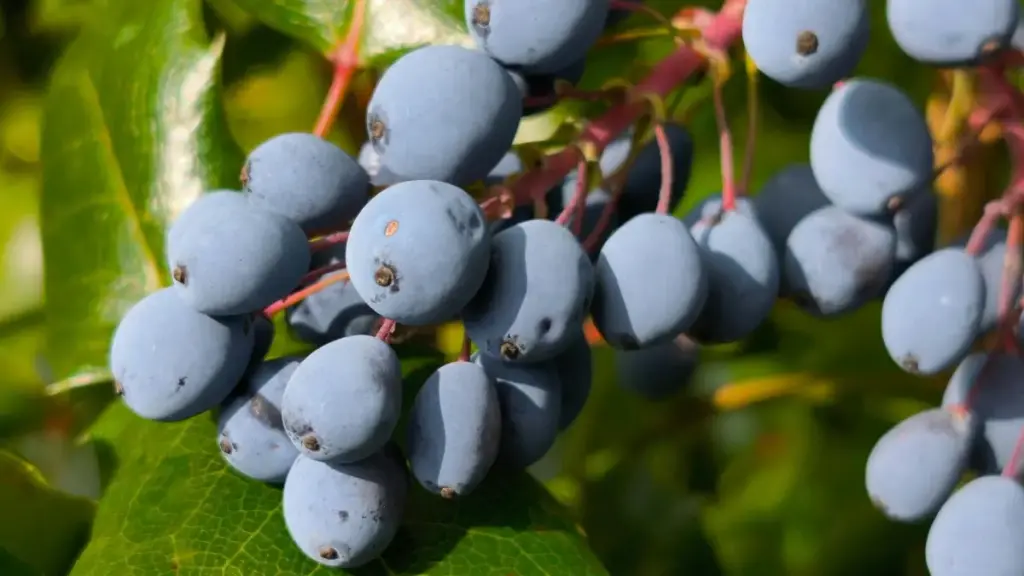 Mpo na creator na DRC oyo alingi kosala wardrobe haul videos, tala ndenge ya kobenda ba brands ya Greece na Takatak na ndenge ya pɛtɛɛ, ya solo, mpe ya smart.