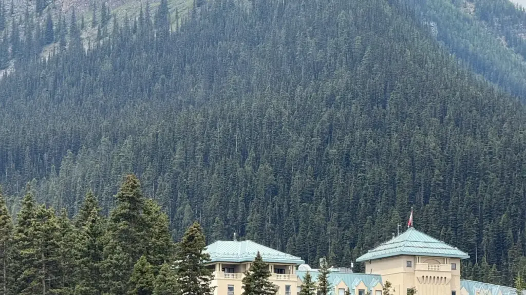 Ndenge ya koluka, kolabola mpe kosangisa na créateurs ya Iraq na Xiaohongshu mpo na kosala UGC oyo ekobongola visibilité ya travel gear na marché internationale.