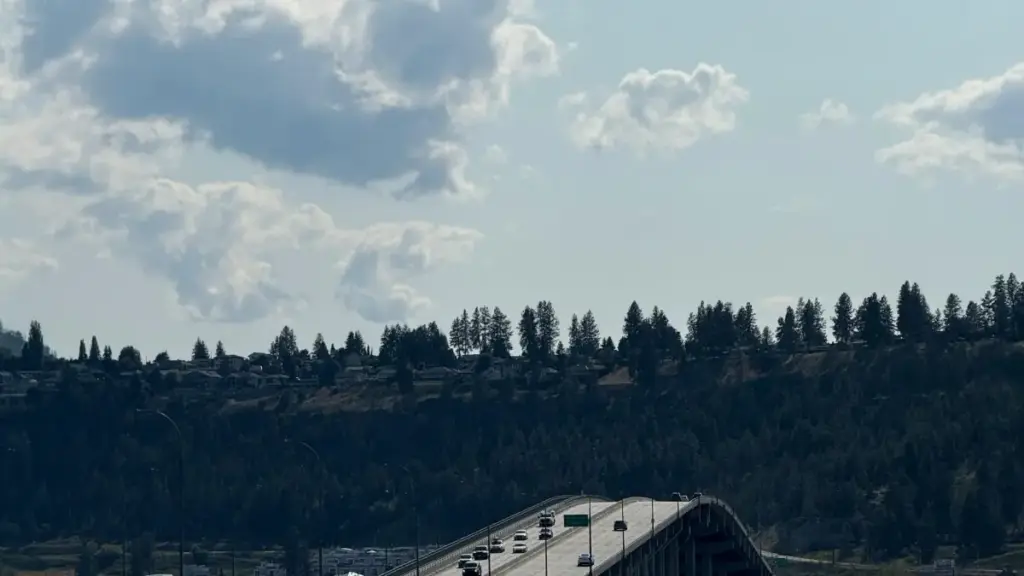 Soki ozali creator na DRC mpe olingi kozwa ba-brand ya Côte d’Ivoire na Line mpo báreviewer biloko oyo ezali trending, tala ndenge ya kosala yango smart, propre, mpe efficace.