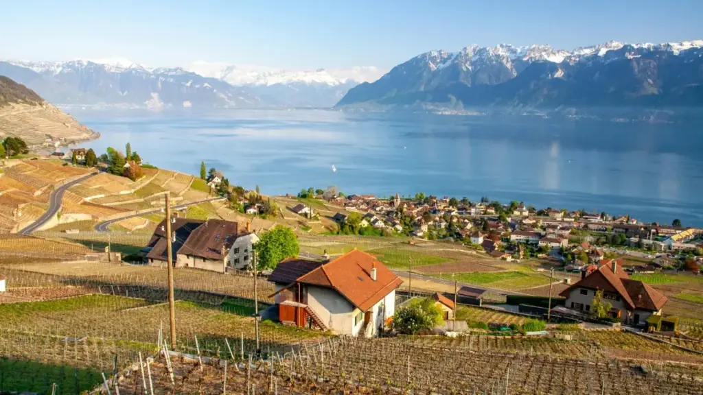 Mokanda oyo elakisaka ndenge ya kopeza France brands na Rumble mpo na ko créer exclusive product bundles, na ndenge ya pratique mpe ya marché.