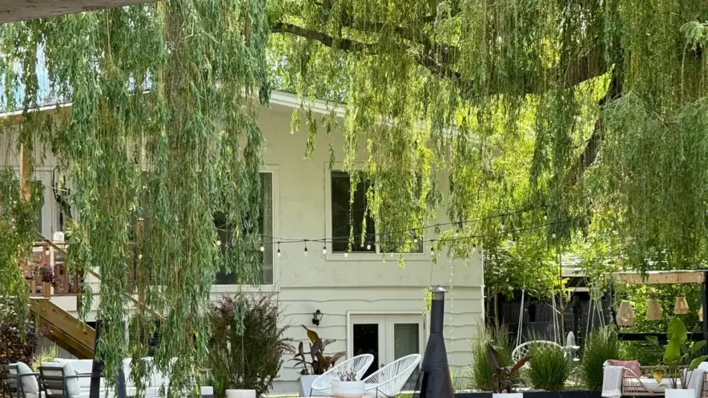 Soki olingi kokanga creator ya United Kingdom oyo alingaka Disney Plus mpo na kotinda trafic na fitness app, tala ndenge ya koluka, koyeba fit, mpe kobeta conversion.