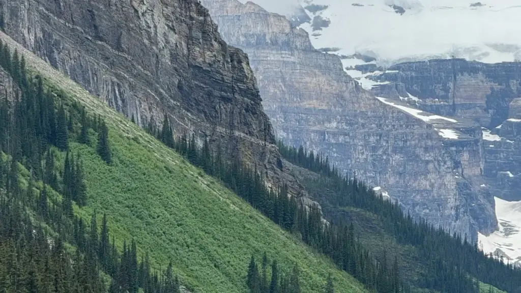 Mpo na marque ya bilamba, tala ndenge ya koluka ba créateur ya Vietnam na Twitter/X, ndenge ya kotala qualité, mpe ndenge ya kobeta campagne oyo ekoki kotambola malamu.